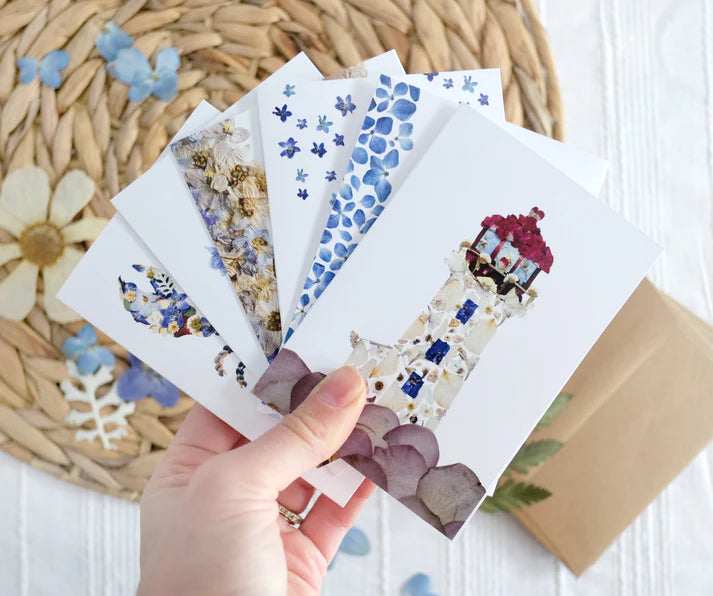 Seek & Bloom Mixed Pack Note Card Set