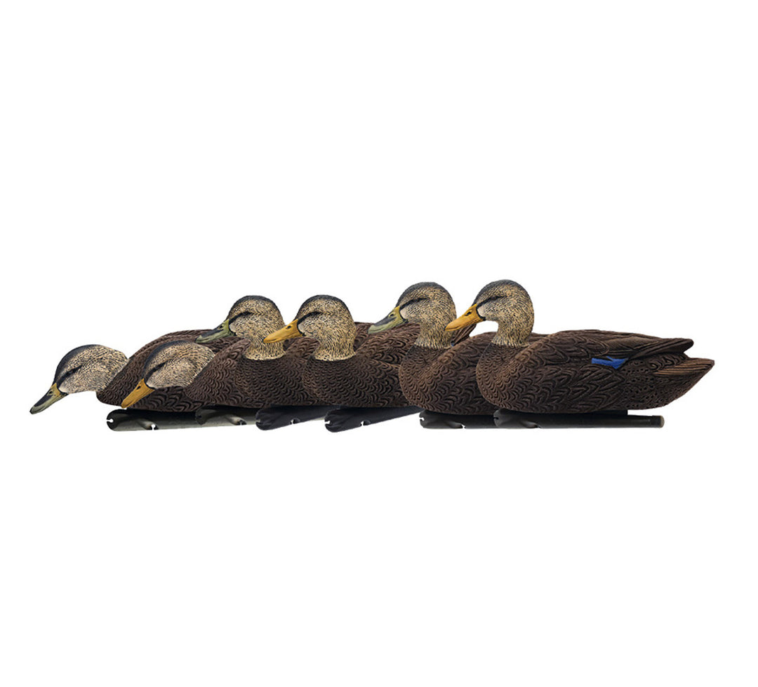 Avian X - Top Flight Flocked Black Duck Decoys