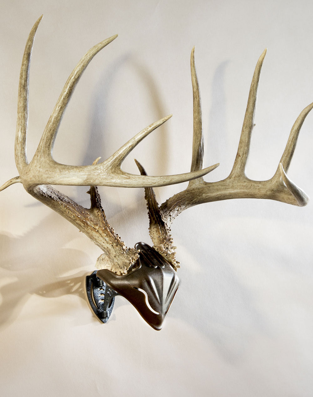Skull Hooker Bone Bracket/Skull Cap Combo Cap