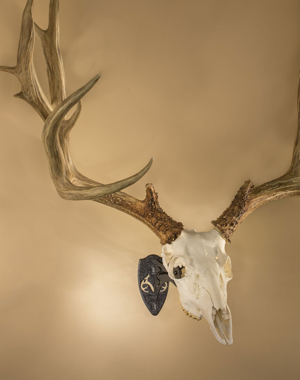 Skull Hooker - Realtree Little Hooker Short Arm European Skull Mounting Systems