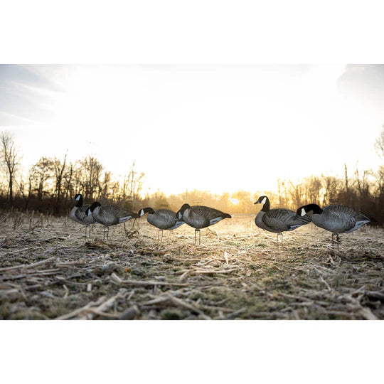 Higdon Outdoors FLATS Canada Goose Motion Silhouette Decoys - Fully Flocked - 12pkg