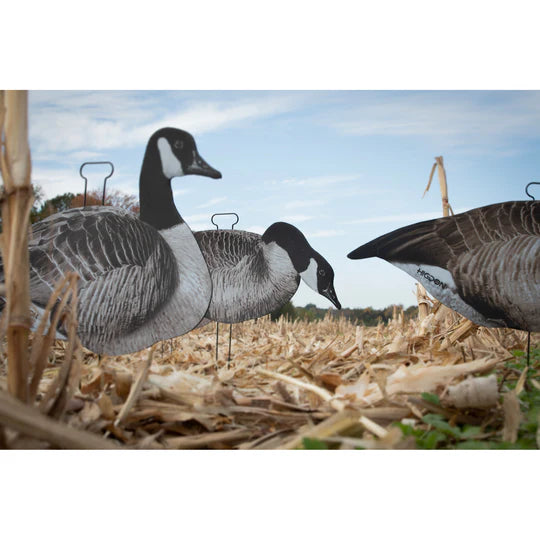 Higdon Outdoors FLATS Canada Goose Standard Silhouette Decoys - 12 pkg