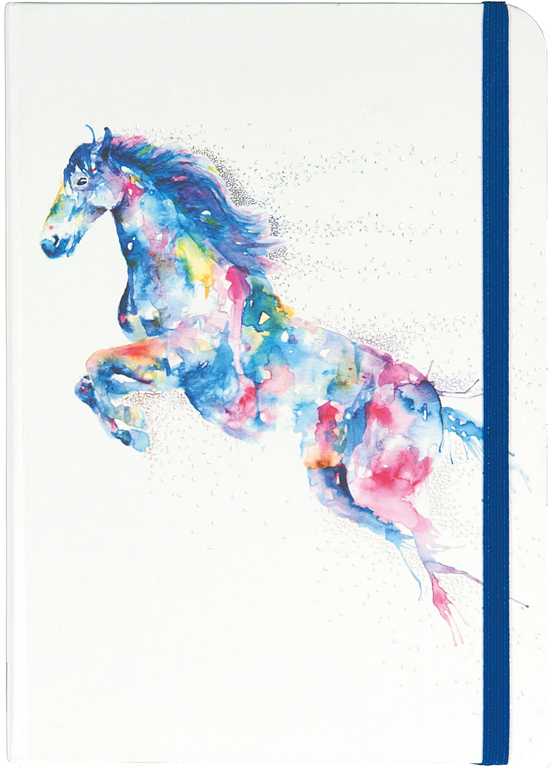 PPP Journal