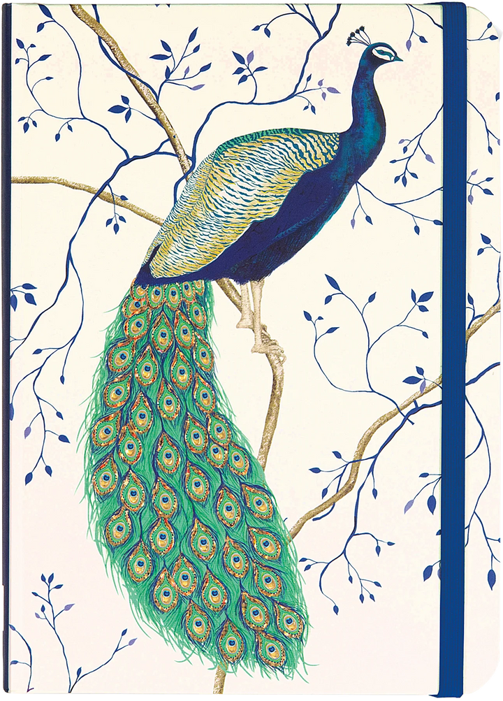 PPP Journal