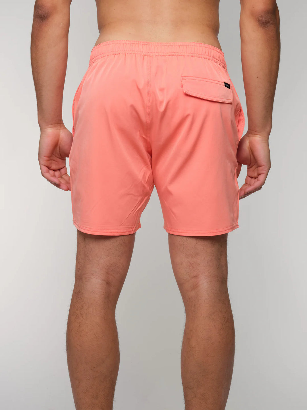 O'Neill Men's Solid Volley 2.0 Shorts