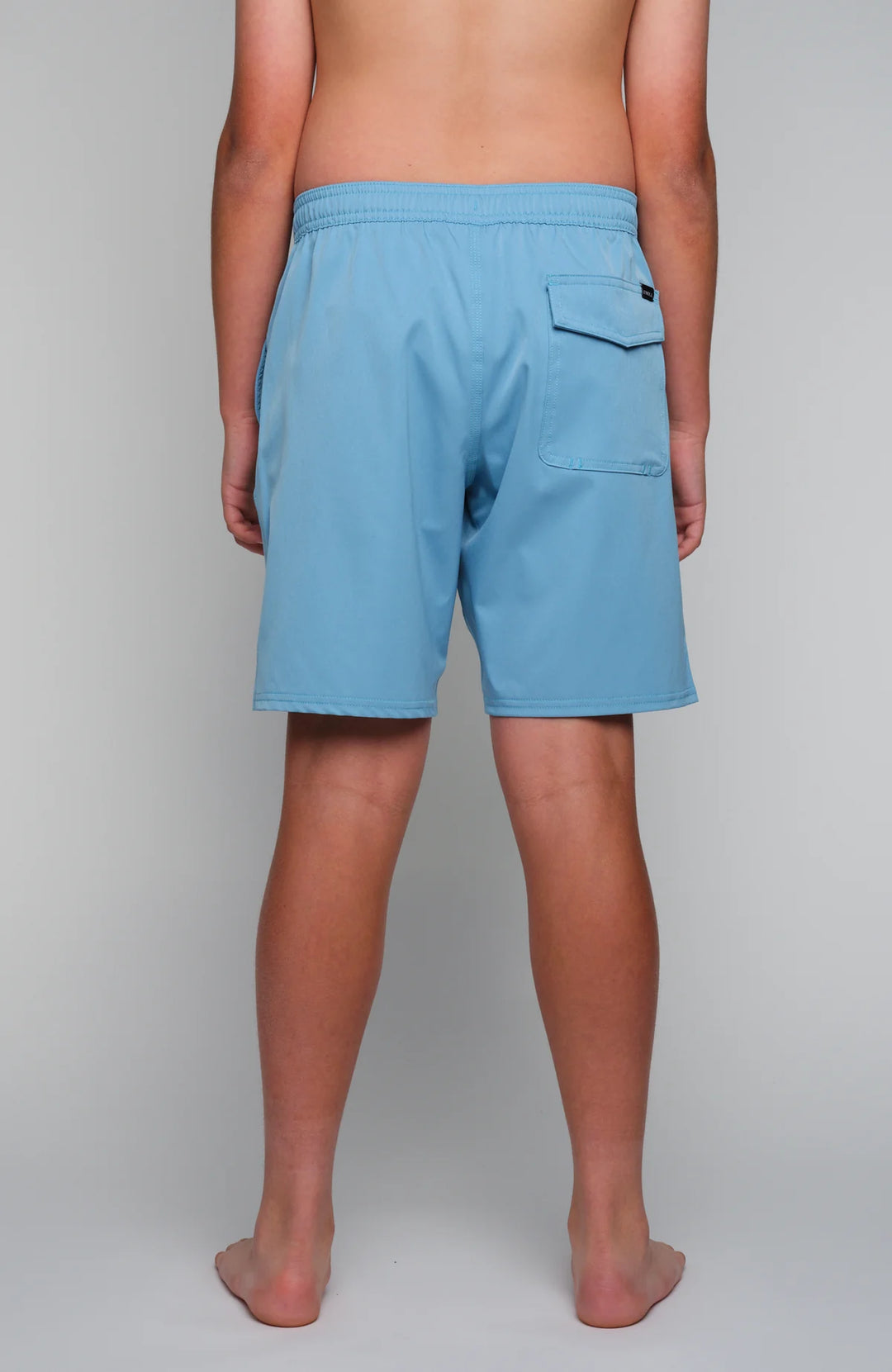 O'Neill Boy's Hermosa Solid Volley 16" Shorts