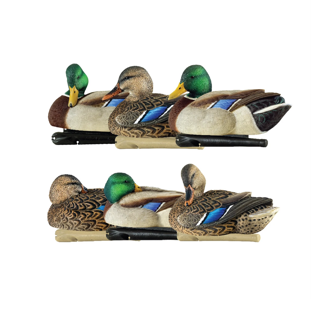 Avian X Top Flight Rester/Preener Mallards - 6 Pack
