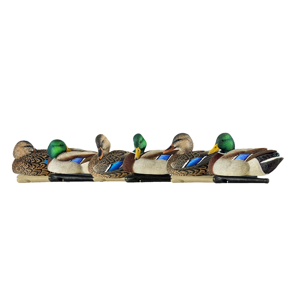 Avian X Top Flight Rester/Preener Mallards - 6 Pack