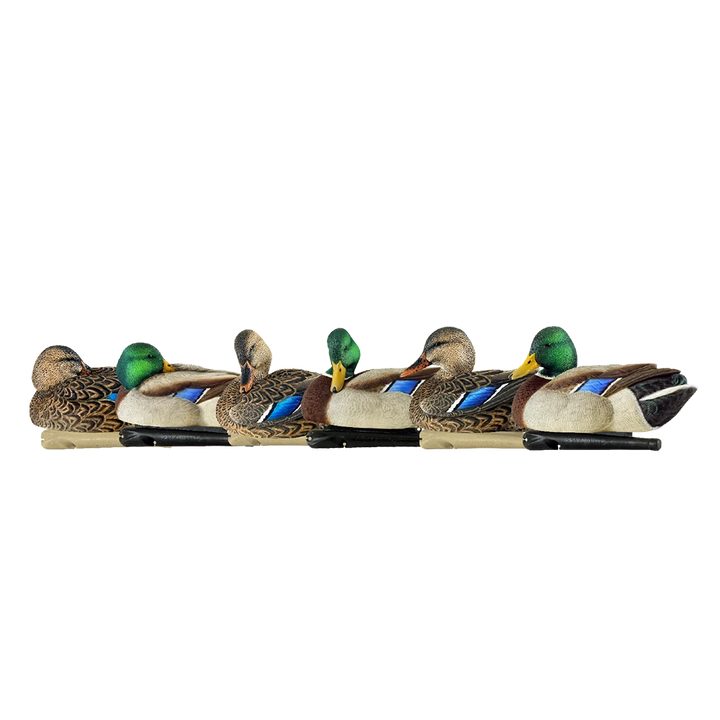 Avian X Top Flight Rester/Preener Mallards - 6 Pack