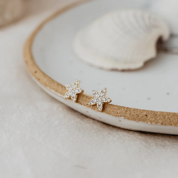 Glee Jewelry - Vibrant Starfish Studs