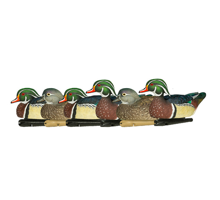 Avian X Top Flight Wood Duck - 6 Pack