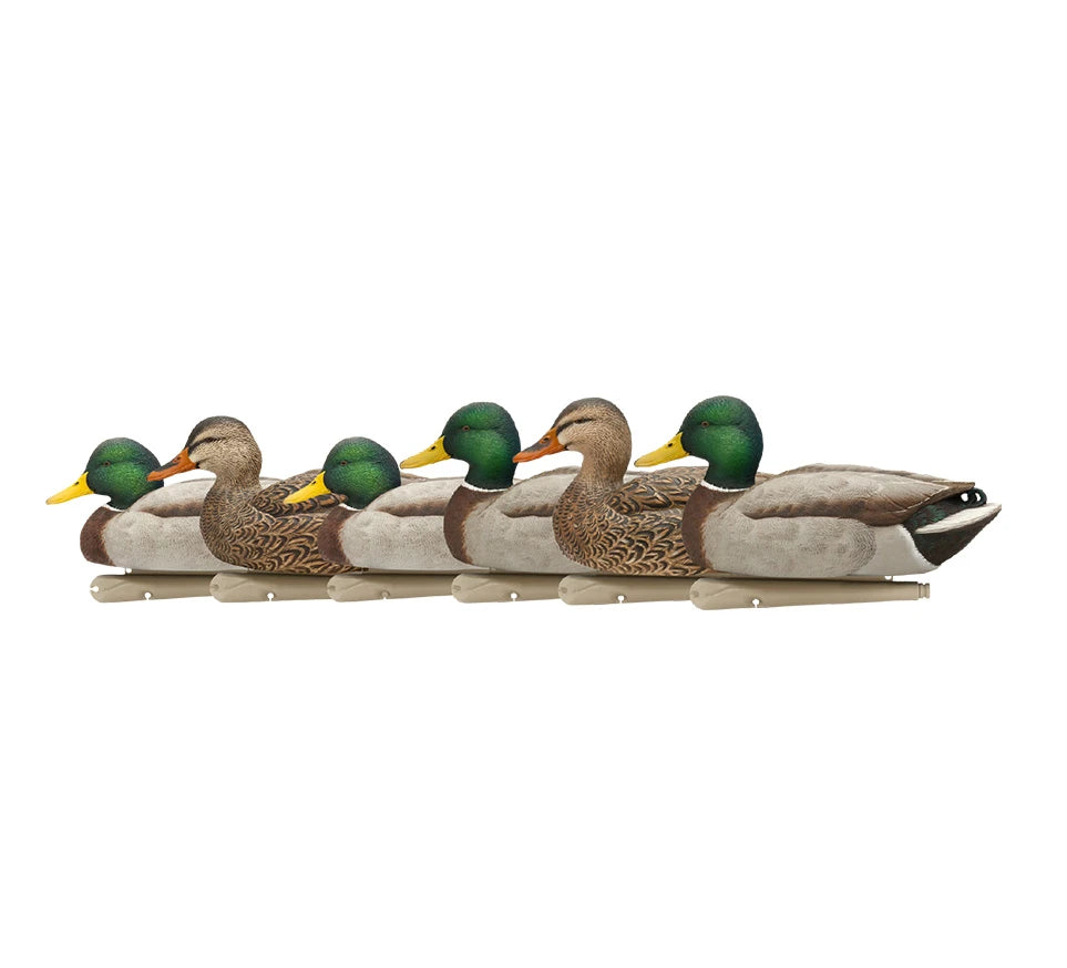 Avian X Top Flight Open Water Mallards