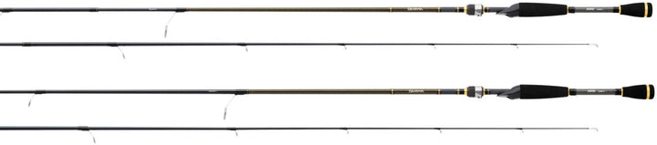 Daiwa AIRD X Rod & Daiwa Fuego LT2500D-XH Reel Combo